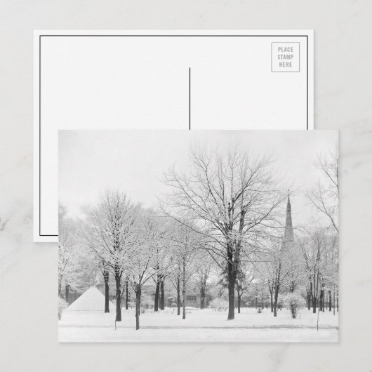 1915年の冬 ポストカード (正面/裏面)