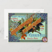 1915白フランスの薄紫 ポストカード (正面/裏面)