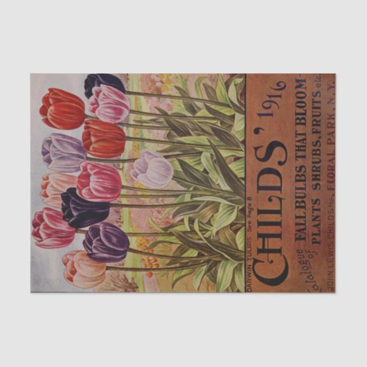 1916のカタログのティッシュペーパーの旧式な秋のチューリップ 薄葉紙 (正面)