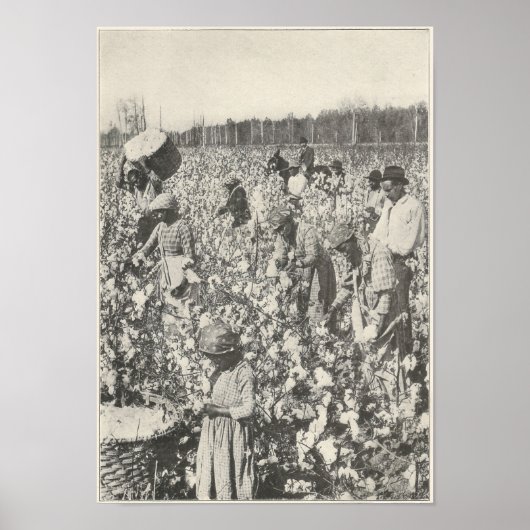 1916年綿摘み ポスター (正面)