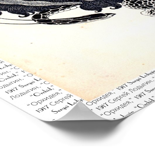 1917ヴィンテージエレガントロシアのアールヌーボー女性 ポスター (角)