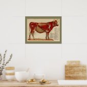 1917ヴィンテージ牛筋解剖図 ポスター (キッチン)