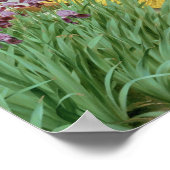 1917年のつる花の下 ポスター (角)