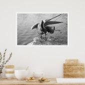 1918年アラスカ沖ペリカン ポスター (キッチン)