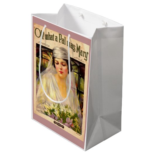 1919ああ！メアリーの曲シートは何てパルだったか ミディアムペーパーバッグ (裏面アングル)