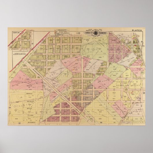 1919年アメリカ大学公園の地図 ポスター (正面)