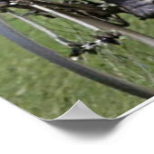 1920年のツアーの親密なポートレート ポスター (角)