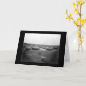 1920年マッドハッツスーダンアフリカ カード (黄色い花)