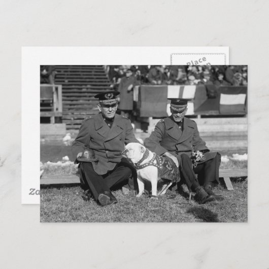 1920年代に少し下がってほしい ポストカード (正面/裏面)