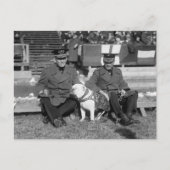 1920年代に少し下がってほしい ポストカード (正面)