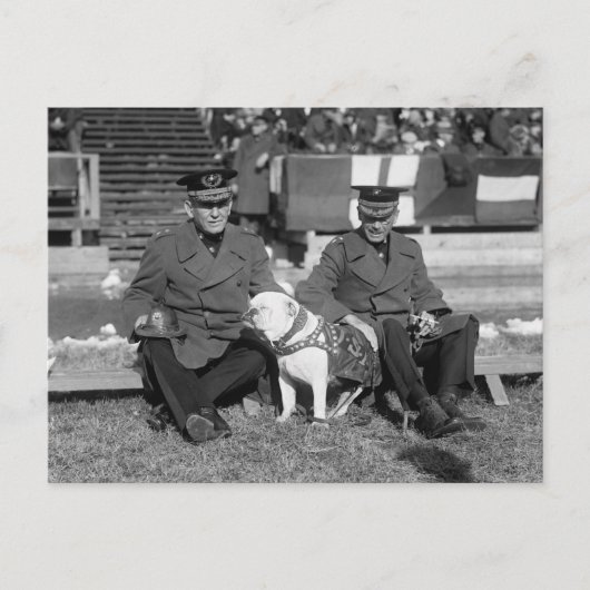 1920年代に少し下がってほしい ポストカード (正面)