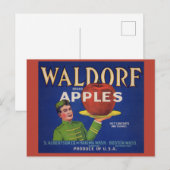 1920年代のワルドルフのリンゴ箱ラベル ポストカード (正面/裏面)