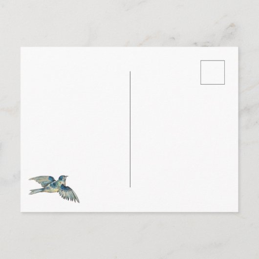 1920年代の冬のシーン – 女食べ物を与えと子の鳥 ポストカード (裏面)