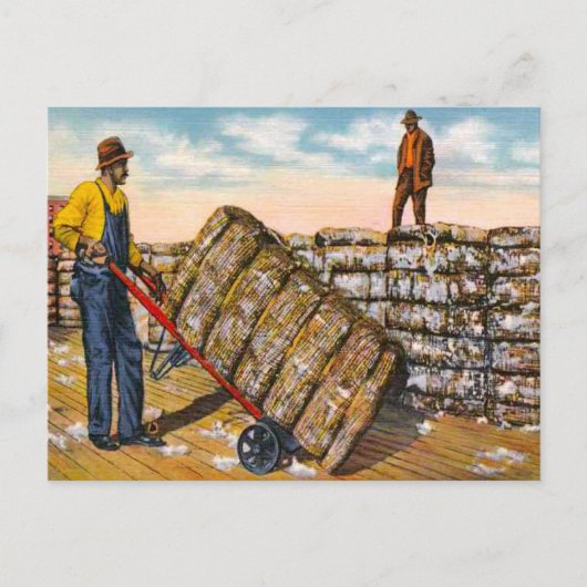 1920年代の深い南部の綿花 ポストカード (正面)