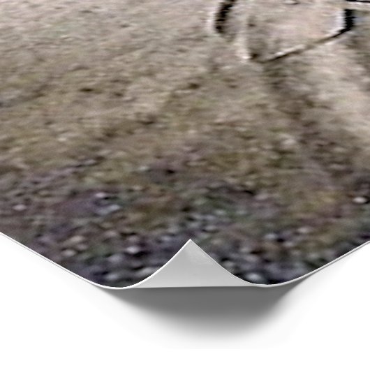 1920年代の男性オートバイのポスター ポスター (角)