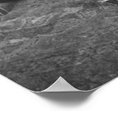 1920年代の若い女性、猫と人形 ポスター (角)