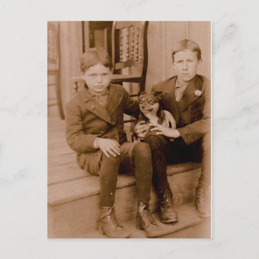 1920年代の2人の男の子1匹 ポストカード (正面)
