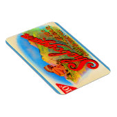 1920年代シボイガン葉巻ラベル マグネット (右側)