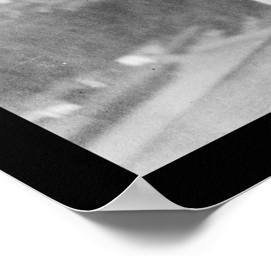 1920年議事堂の上の自由像 ポスター (角)