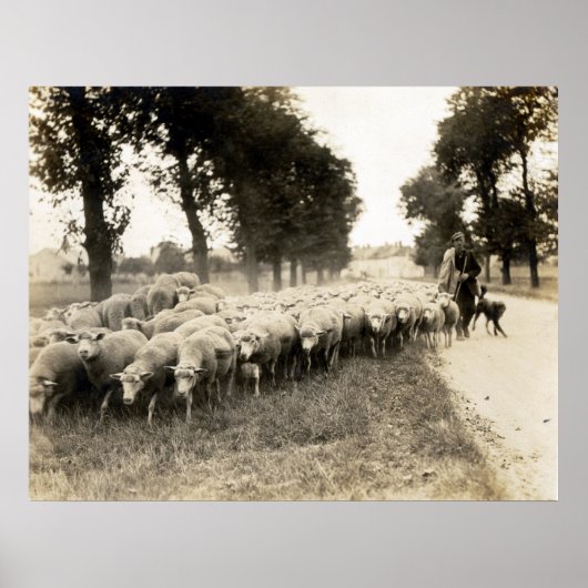 1921フランスの年 ポスター (正面)