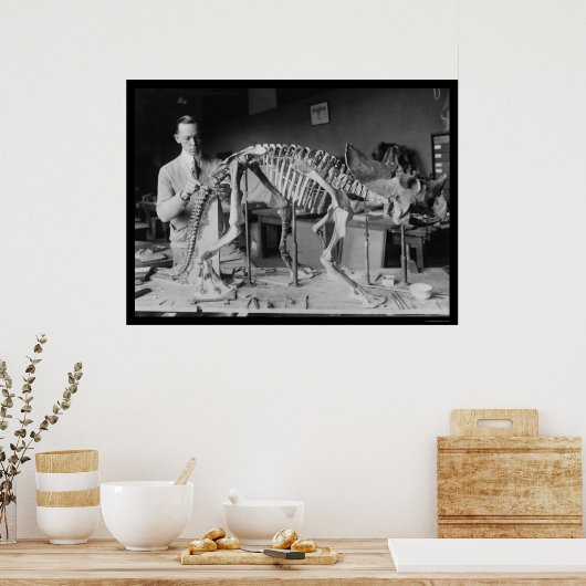 1921年ベビー恐竜の骨格を準備する ポスター (キッチン)