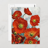 1922アイスランドポピーイラストレーション ポストカード (正面/裏面)