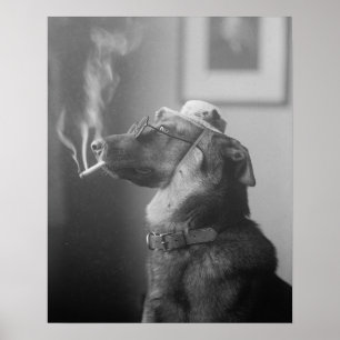 1923年の犬の肖像画。ヴィンテージ写真 ポスター