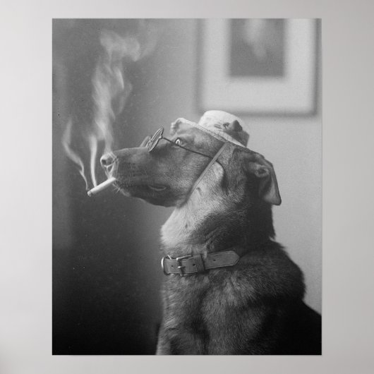 1923年の犬の肖像画。ヴィンテージ写真 ポスター (正面)
