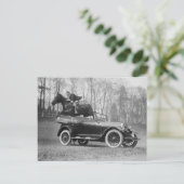 1923年、馬が自動車を飛び越える ポストカード (スタンド正面)