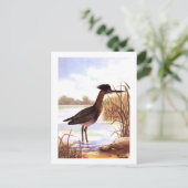 1926ヴィンテージトダンターバード「グリーンヘロン」サイン ポストカード (スタンド正面)