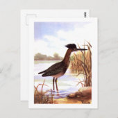 1926ヴィンテージトダンターバード「グリーンヘロン」サイン ポストカード (正面/裏面)