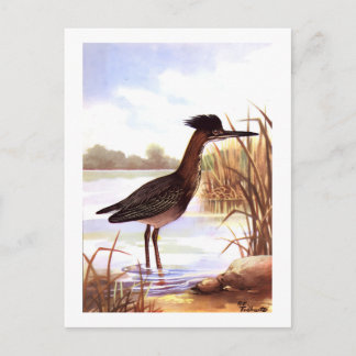 1926ヴィンテージトダンターバード「グリーンヘロン」サイン ポストカード