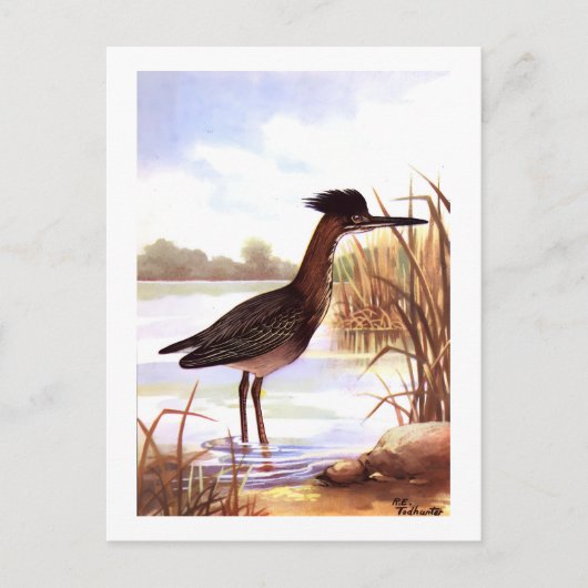 1926ヴィンテージトダンターバード「グリーンヘロン」サイン ポストカード (正面)