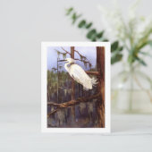 1926ヴィンテージTODHUNTER BIRDS "SNOWY EGREPRINT ポストカード (スタンド正面)