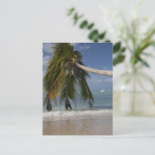 1926年トバゴ ポストカード (スタンド正面)