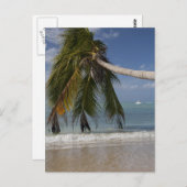 1926年トバゴ ポストカード (正面/裏面)