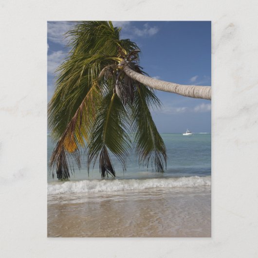 1926年トバゴ ポストカード (正面)