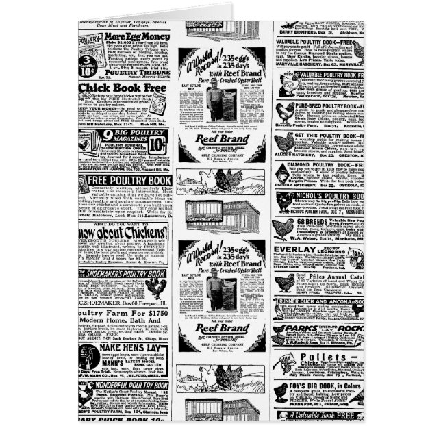 1928チキンads (正面)