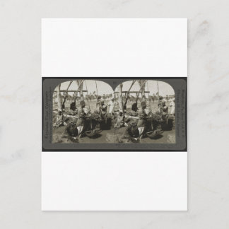 1928年にエジプトのナイル川から水を汲み上げる ポストカード