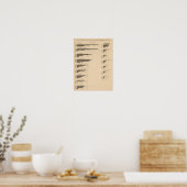 193工業別製品価値1850-1900 ポスター (キッチン)