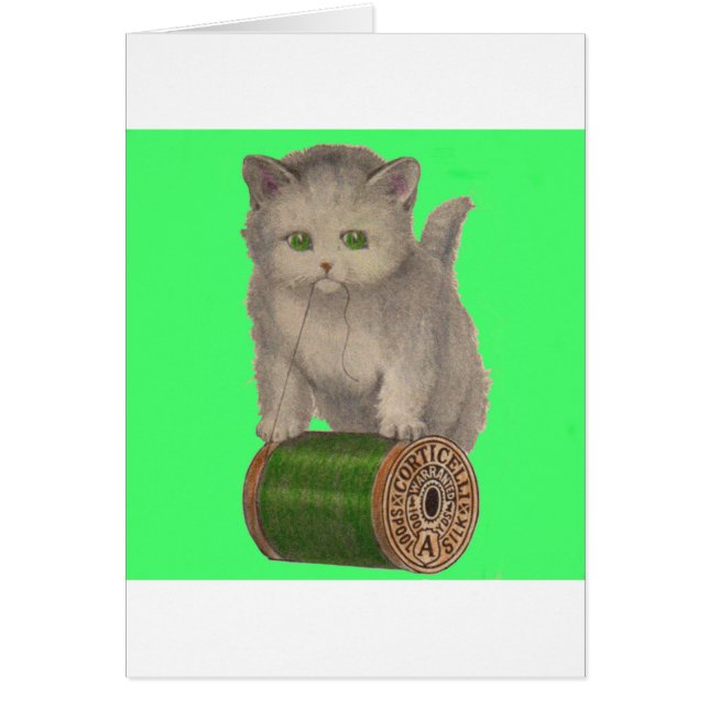 1930コルチチェリ白猫 (正面)