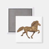 1930年ヴィンテージアイスランド語 マグネット (正面/裏面)