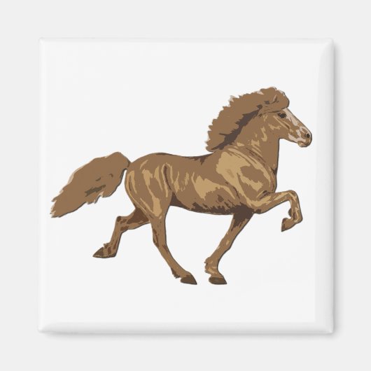 1930年ヴィンテージアイスランド語 マグネット (正面)