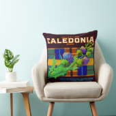 1930年代のカレドニアのオレンジ色のクレートラベル クッション (椅子)