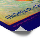 1930年代の果樹果樹状ラベルVictoriaブランドオレンジ ポスター (角)