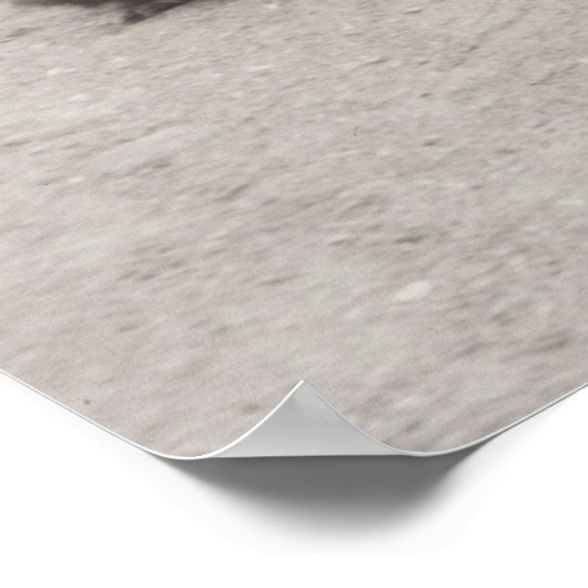 1930年代カンヌ ポスター (角)