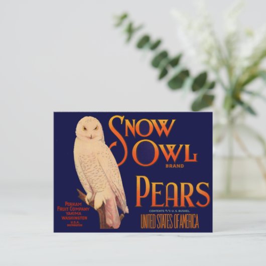 1930年代スノーフクロウブランドの梨の木箱ラベル ポストカード (スタンド正面)