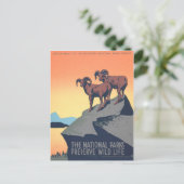 1930年代ヴィンテージポスター、ビッグホーン羊、パーソナライズ ポストカード (スタンド正面)