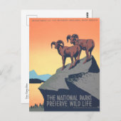 1930年代ヴィンテージポスター、ビッグホーン羊、パーソナライズ ポストカード (正面/裏面)