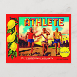 1930年代 選手 フルーツ缶ラベル ポストカード